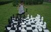 What material are the chess pieces made of?